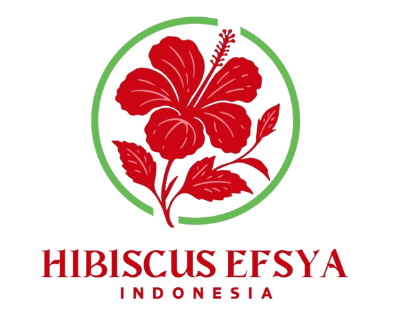 Hibiscus Efsya Logo